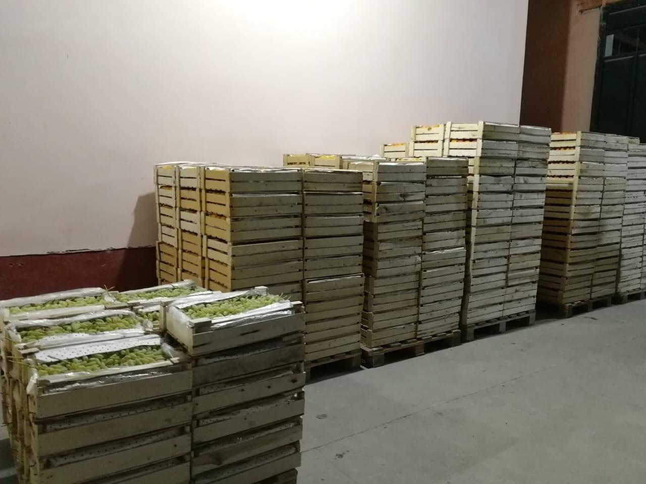 Оформление плодоовощной продукции из Узбекистана на СВХ ООО «Либерал Вэльюз»