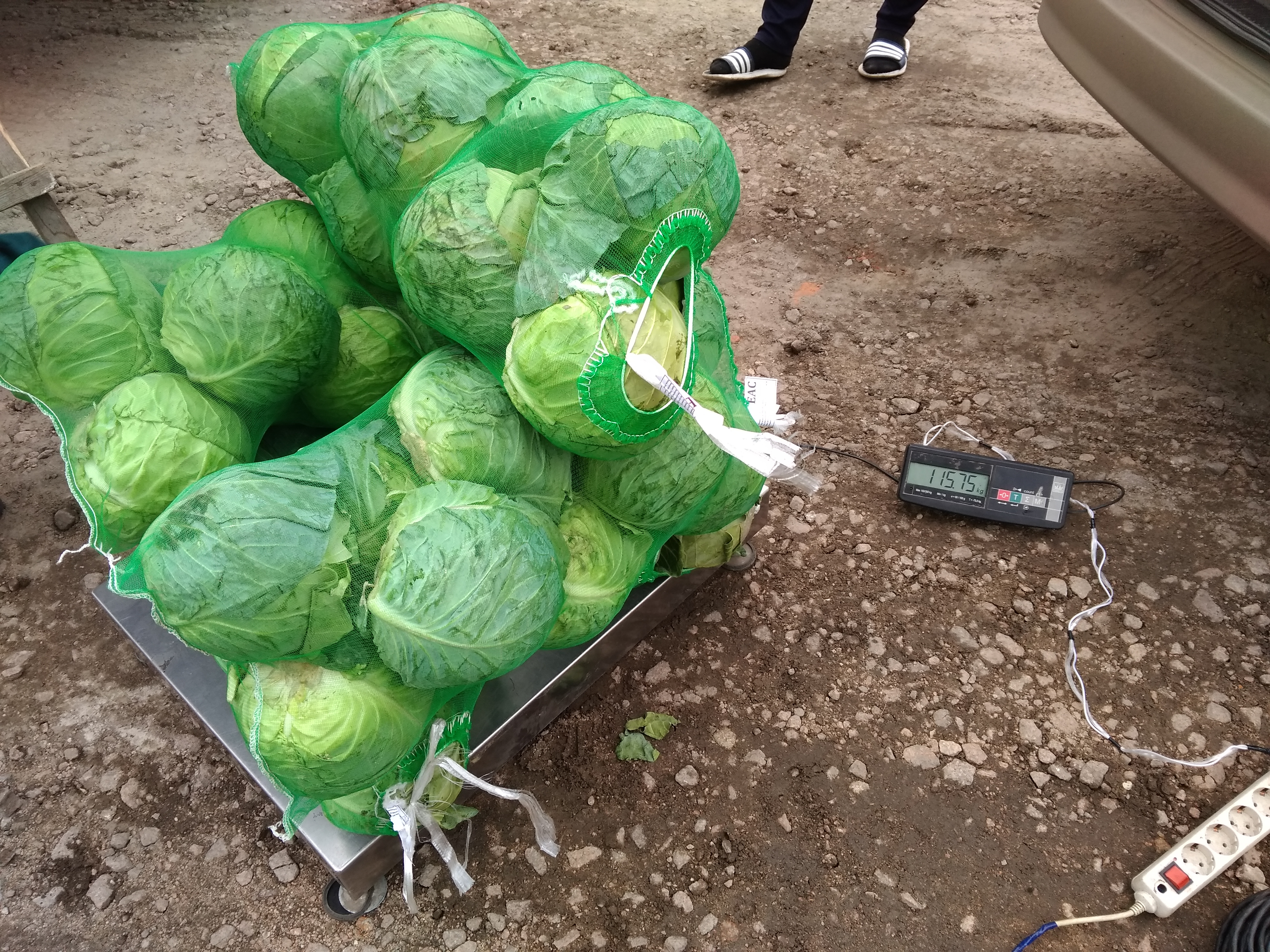 Оформление плодоовощной продукции из Узбекистана на СВХ ООО «Либерал Вэльюз»
