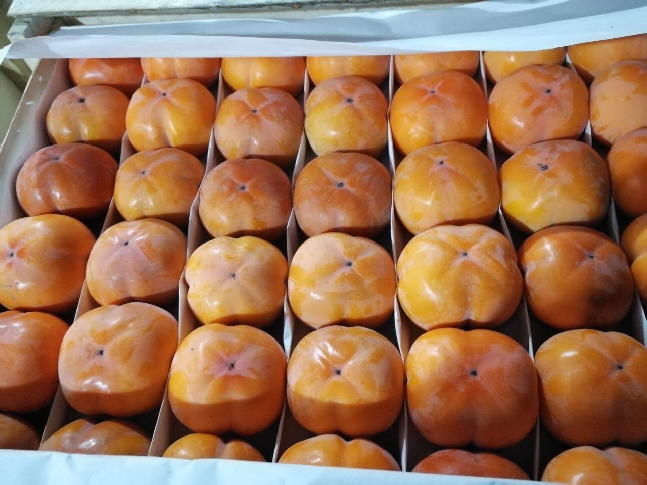Оформление плодоовощной продукции из Узбекистана на СВХ ООО «Либерал Вэльюз»