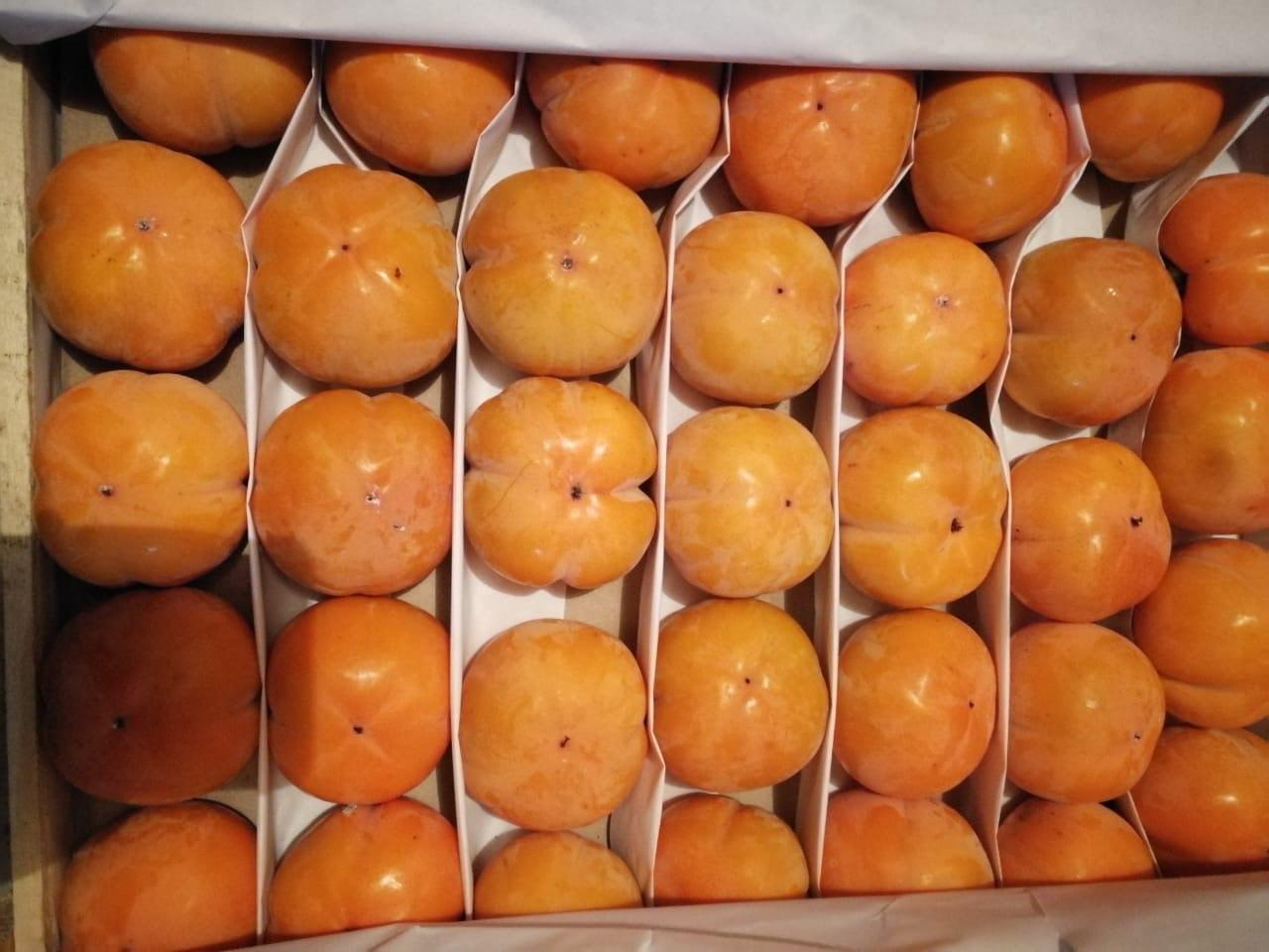 Оформление плодоовощной продукции из Узбекистана на СВХ ООО «Либерал Вэльюз»
