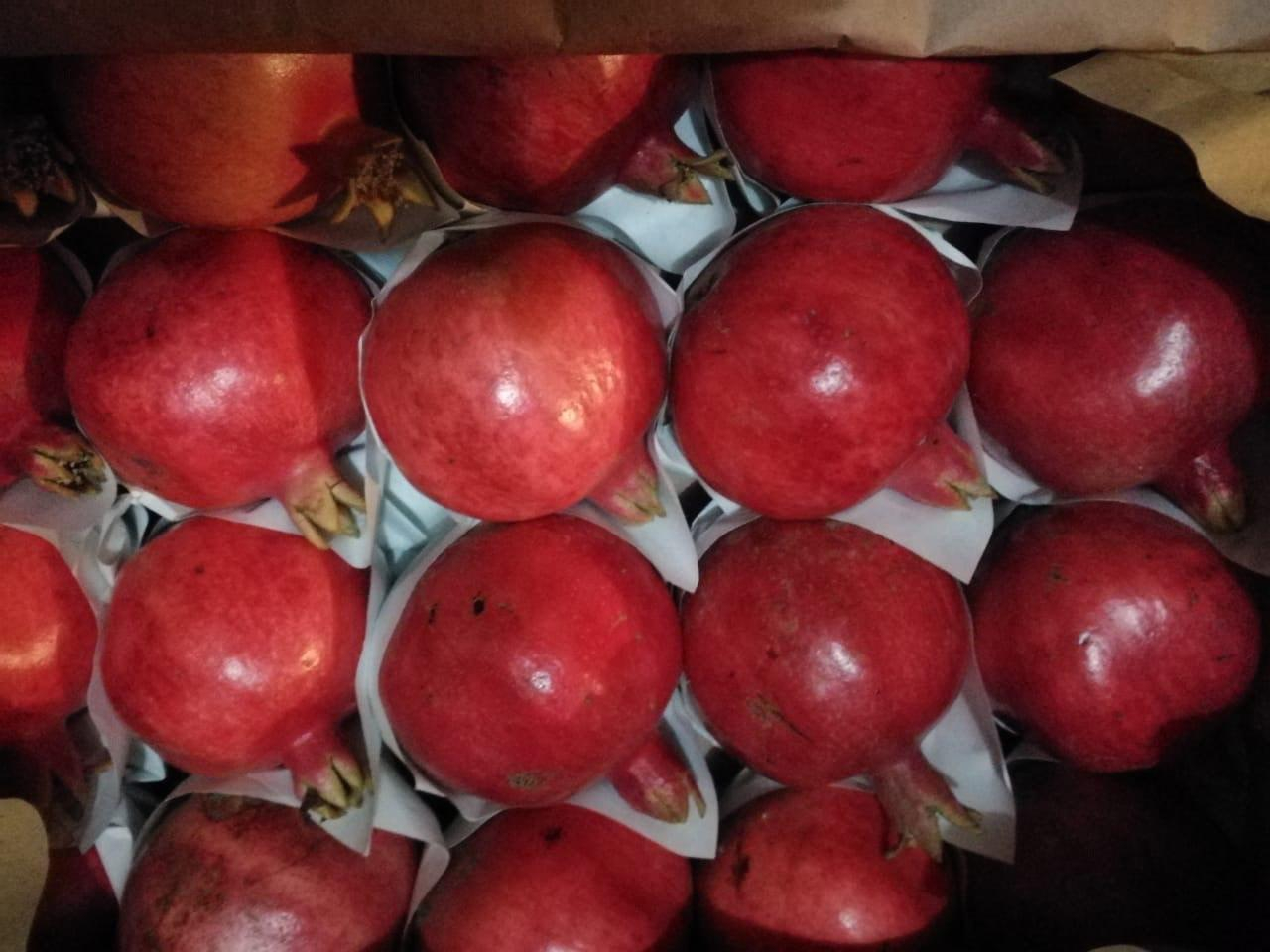 Оформление плодоовощной продукции из Узбекистана на СВХ ООО «Либерал Вэльюз»
